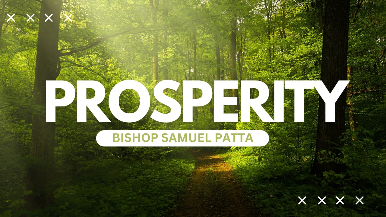 Prosperity - 11 Jun 23
