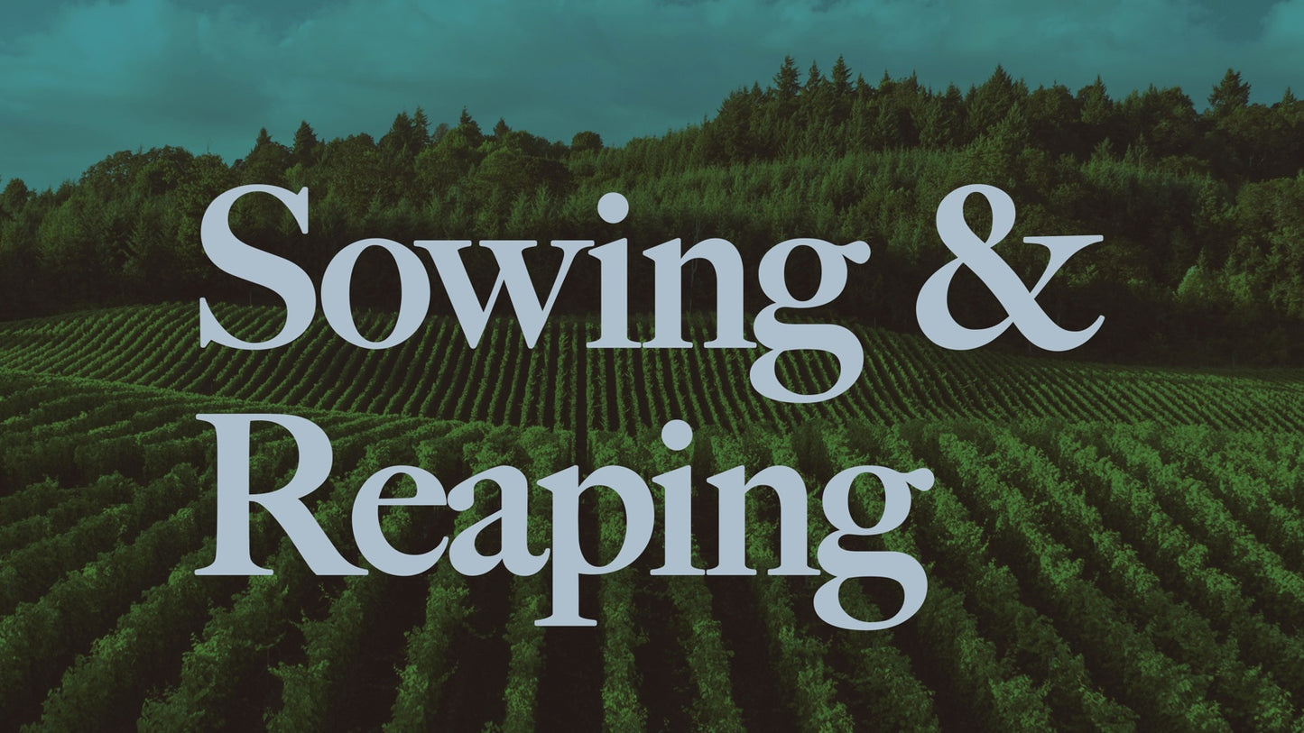 Sowing And Reaping