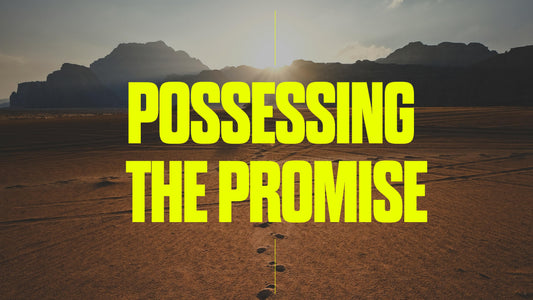 Possessing The Promise