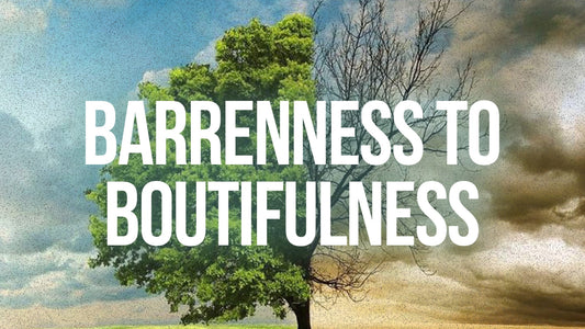 Barrenness to Bountifulness - 16 May 25
